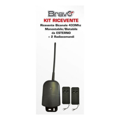 RICEVITORE KIT CON 2...