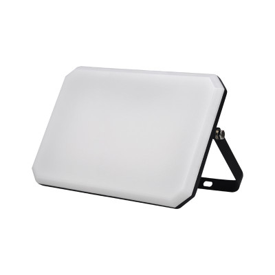 FARO LED DA ESTERNO 100W LN...