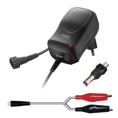 CARICA BATTERIE AL PIOMBO 6V